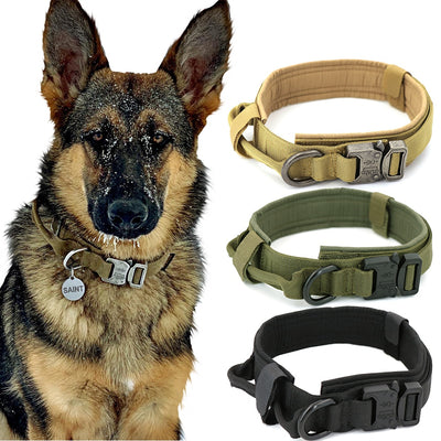 Dog Collar